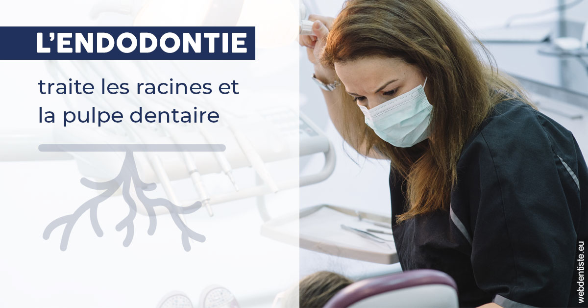 https://dr-do-thi-thuy-thao.chirurgiens-dentistes.fr/L'endodontie 1