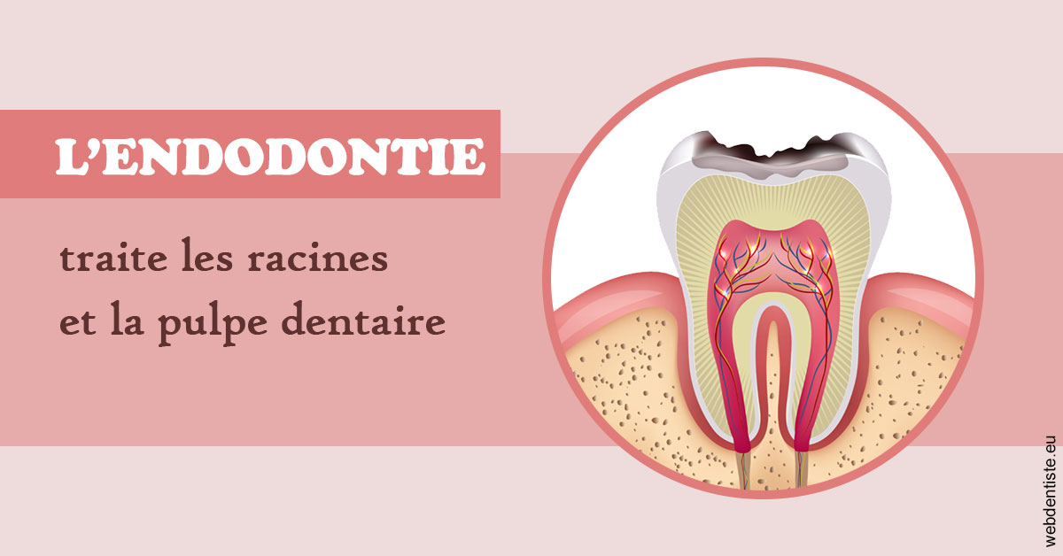 https://dr-do-thi-thuy-thao.chirurgiens-dentistes.fr/L'endodontie 2