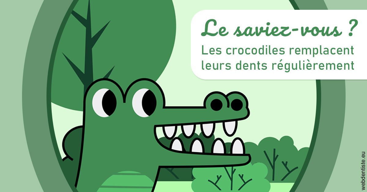 https://dr-do-thi-thuy-thao.chirurgiens-dentistes.fr/Crocodiles 2