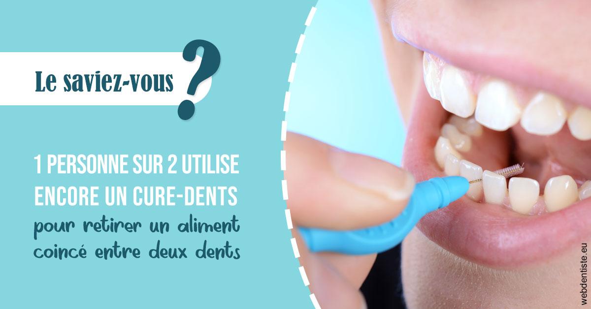 https://dr-do-thi-thuy-thao.chirurgiens-dentistes.fr/Cure-dents 1