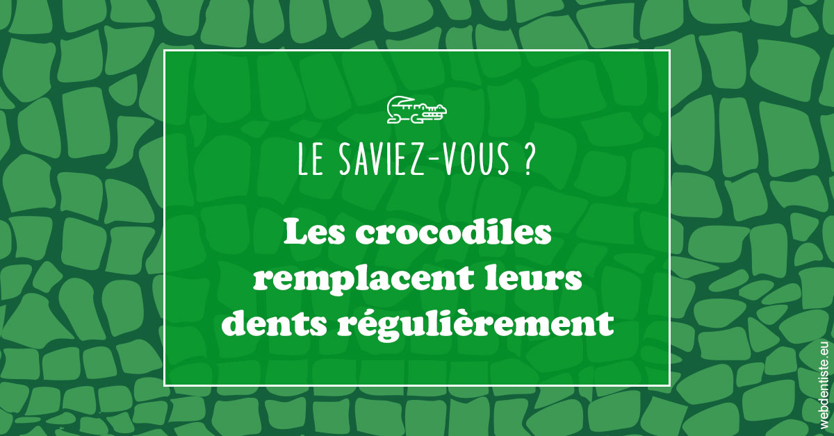 https://dr-do-thi-thuy-thao.chirurgiens-dentistes.fr/Crocodiles 1
